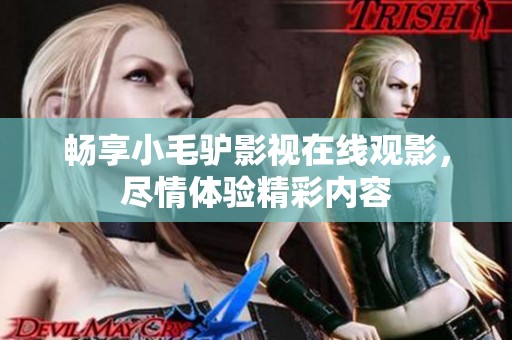 畅享小毛驴影视在线观影，尽情体验精彩内容