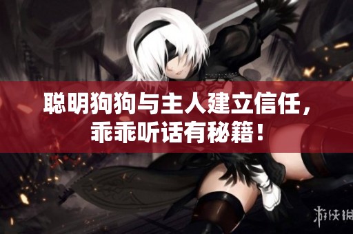 聪明狗狗与主人建立信任，乖乖听话有秘籍！