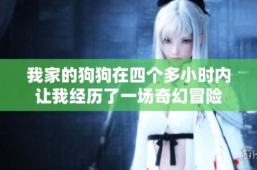 我家的狗狗在四个多小时内让我经历了一场奇幻冒险