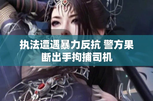 执法遭遇暴力反抗 警方果断出手拘捕司机