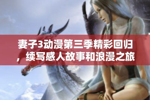 妻子3动漫第三季精彩回归，续写感人故事和浪漫之旅