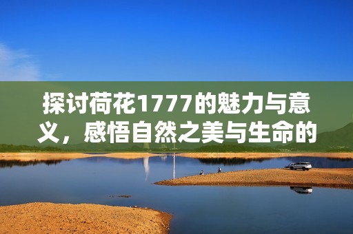 探讨荷花1777的魅力与意义，感悟自然之美与生命的哲理