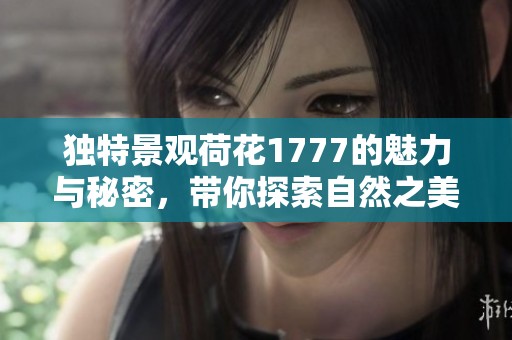 独特景观荷花1777的魅力与秘密，带你探索自然之美