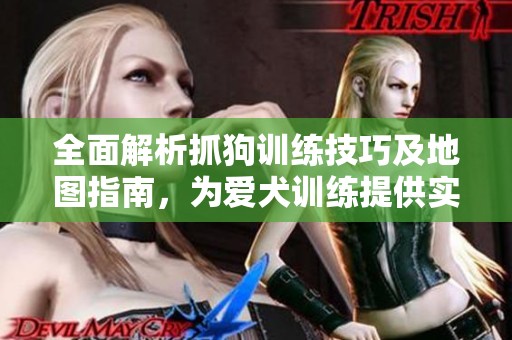 全面解析抓狗训练技巧及地图指南，为爱犬训练提供实用参考