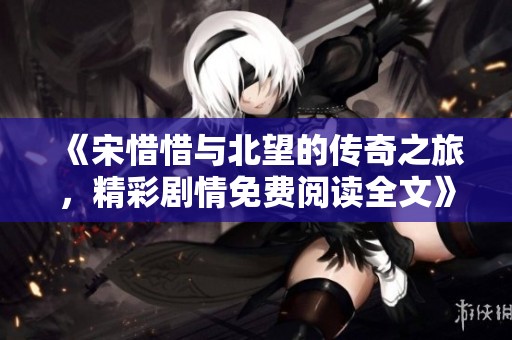 《宋惜惜与北望的传奇之旅，精彩剧情免费阅读全文》