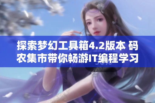 探索梦幻工具箱4.2版本 码农集市带你畅游IT编程学习资源世界