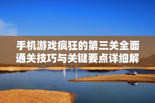 手机游戏疯狂的第三关全面通关技巧与关键要点详细解析