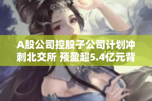 A股公司控股子公司计划冲刺北交所 预盈超5.4亿元背后故事揭秘