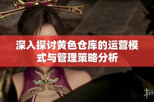 深入探讨黄色仓库的运营模式与管理策略分析