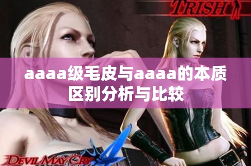 aaaa级毛皮与aaaa的本质区别分析与比较