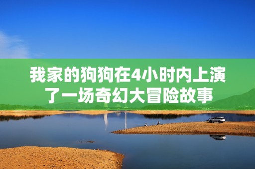 我家的狗狗在4小时内上演了一场奇幻大冒险故事