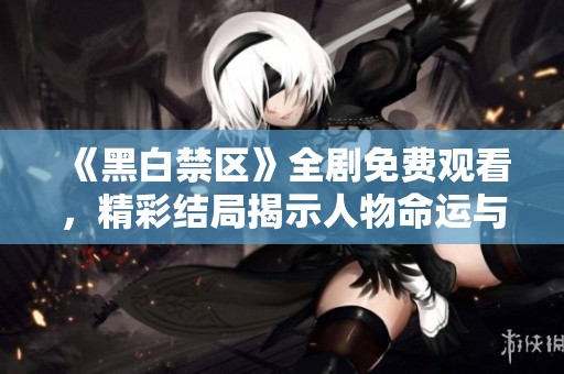 《黑白禁区》全剧免费观看，精彩结局揭示人物命运与情感交织