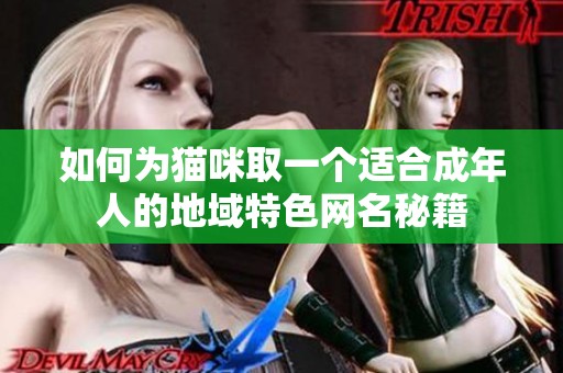 如何为猫咪取一个适合成年人的地域特色网名秘籍