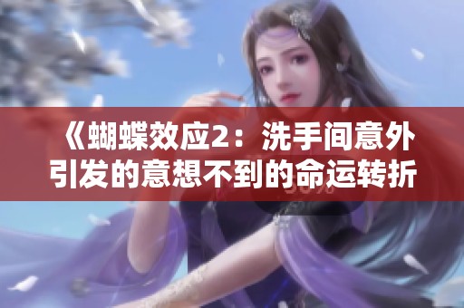 《蝴蝶效应2：洗手间意外引发的意想不到的命运转折》