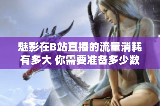 魅影在B站直播的流量消耗有多大 你需要准备多少数据流量