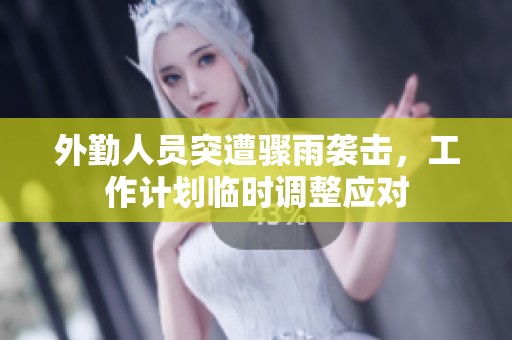 外勤人员突遭骤雨袭击，工作计划临时调整应对