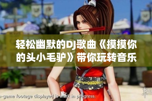 轻松幽默的DJ歌曲《摸摸你的头小毛驴》带你玩转音乐世界