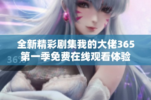 全新精彩剧集我的大佬365第一季免费在线观看体验