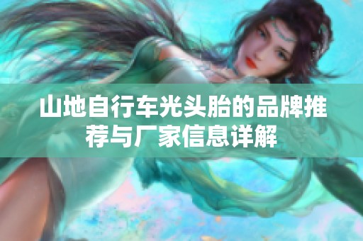 山地自行车光头胎的品牌推荐与厂家信息详解