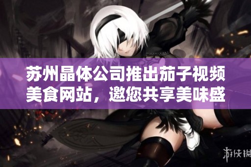 苏州晶体公司推出茄子视频美食网站，邀您共享美味盛宴