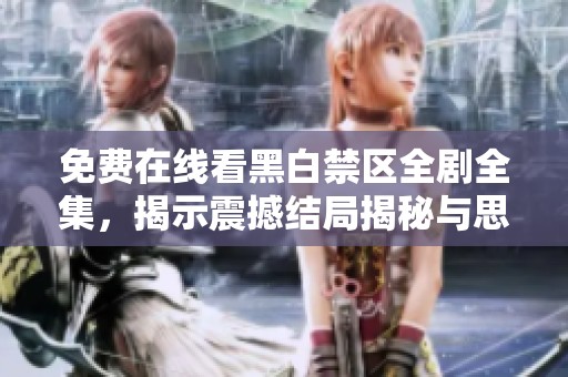 免费在线看黑白禁区全剧全集，揭示震撼结局揭秘与思考