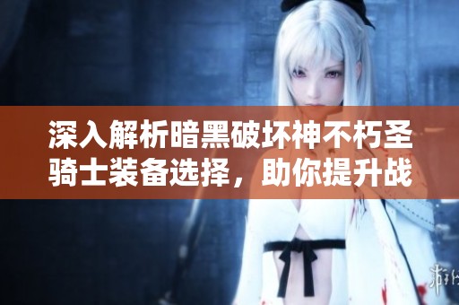 深入解析暗黑破坏神不朽圣骑士装备选择，助你提升战斗力
