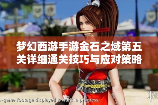 梦幻西游手游金石之域第五关详细通关技巧与应对策略分享