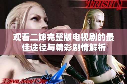 观看二婶完整版电视剧的最佳途径与精彩剧情解析