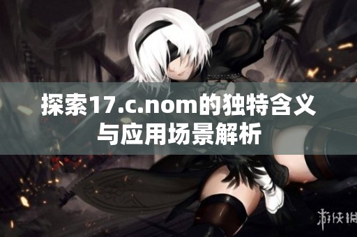探索17.c.nom的独特含义与应用场景解析