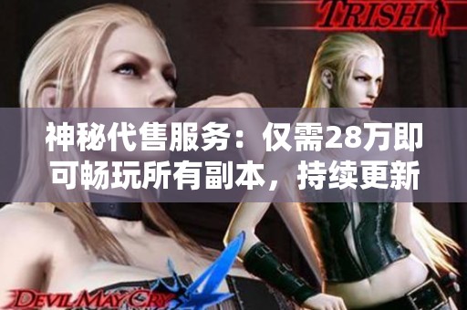 神秘代售服务：仅需28万即可畅玩所有副本，持续更新任你选择
