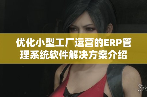 优化小型工厂运营的ERP管理系统软件解决方案介绍