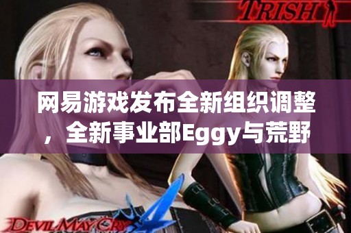 网易游戏发布全新组织调整，全新事业部Eggy与荒野正式成立