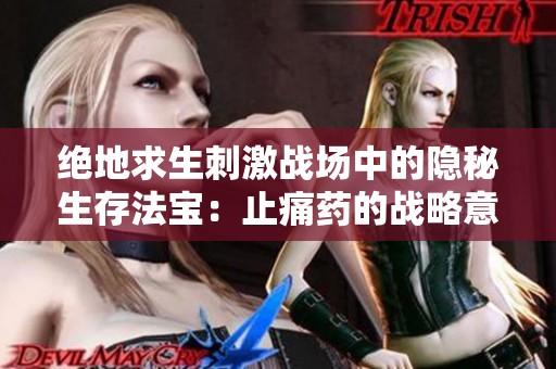绝地求生刺激战场中的隐秘生存法宝：止痛药的战略意义与使用技巧