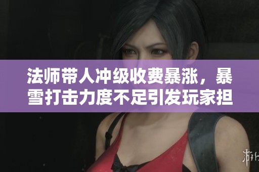 法师带人冲级收费暴涨，暴雪打击力度不足引发玩家担忧