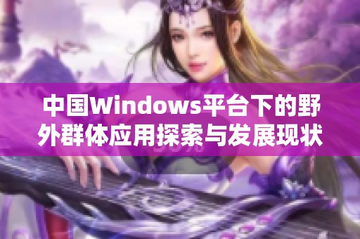 中国Windows平台下的野外群体应用探索与发展现状分析