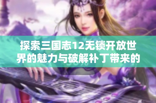 探索三国志12无锁开放世界的魅力与破解补丁带来的全新体验