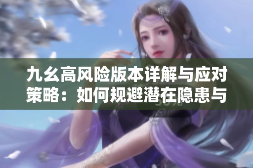 九幺高风险版本详解与应对策略：如何规避潜在隐患与问题